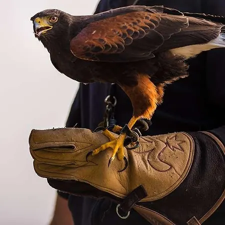 The Originals City, Novella Confort Nantes Est Ξενοδοχείο 2*