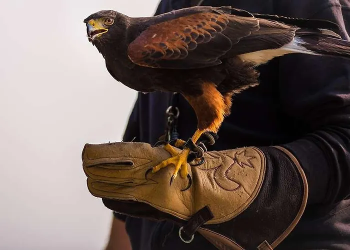 The Originals City, Novella Confort Nantes Est Hotel 2*